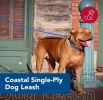 Coastal Pet Single-ply Teal Nylon Dog Lead - 6'L x 5/8"W