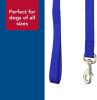 Coastal Pet Single-ply Teal Nylon Dog Lead - 6'L x 5/8"W