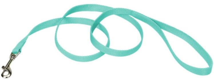 Coastal Pet Single-ply Teal Nylon Dog Lead - 4'L x 5/8"W