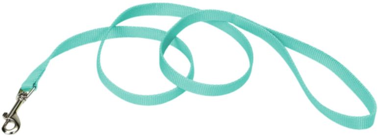 Coastal Pet Single-ply Teal Nylon Dog Lead - 6'L x 5/8"W