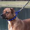 Coastal Pet Natural Control Training Collar Links - 3 count