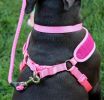 Coastal Pet Comfort Soft Wrap Adjustable Dog Harness Lime - X-Small - 1 count