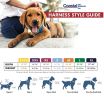 Coastal Pet Styles Nylon Adjustable Dog Collar Black Bones 1" W x 18-26" Long - 1 count