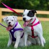 Coastal Pet Comfort Wrap Adjustable Harness Neon Pink - 26-38" girth x 1"W