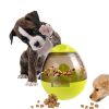 Dog Food Dispenser Tumbler