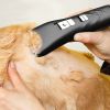 Black Pet Shaver For Dogs; Pet Grooming Supplies