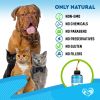 Kennel Cough Treatment Natural Infection Medicine for Dogs Respiratory Cold Cough Relief Collapse Trachea