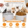 Double 28.7Oz Ceramic Pet Bowls Dog Bowls with Wooden Stand Raised Pet Feeder for Small Dogs