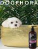 Dogphora First Dog of Fashion Conditioner