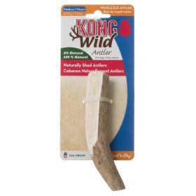 KONG Wild Whole Elk Antler for Dogs Medium