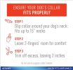 Adams Plus Flea & Tick Collar for Dogs - Large Dogs