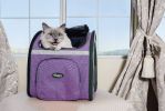 Petique Backpacker Pet Carrier Orchid