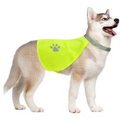 Hi-Vision Reflective Safety Vest (size: large)