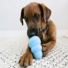 KONG Puppy Teething Chew Toy