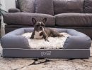 Paw PupLounge Memory Foam Bolster Bed & Topper