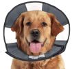 ZenPet Zen Cone Soft Recovery Collar